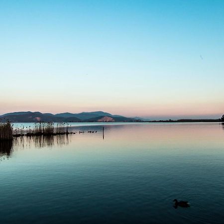Hotel Butterfly Torre del Lago Puccini Bagian luar foto