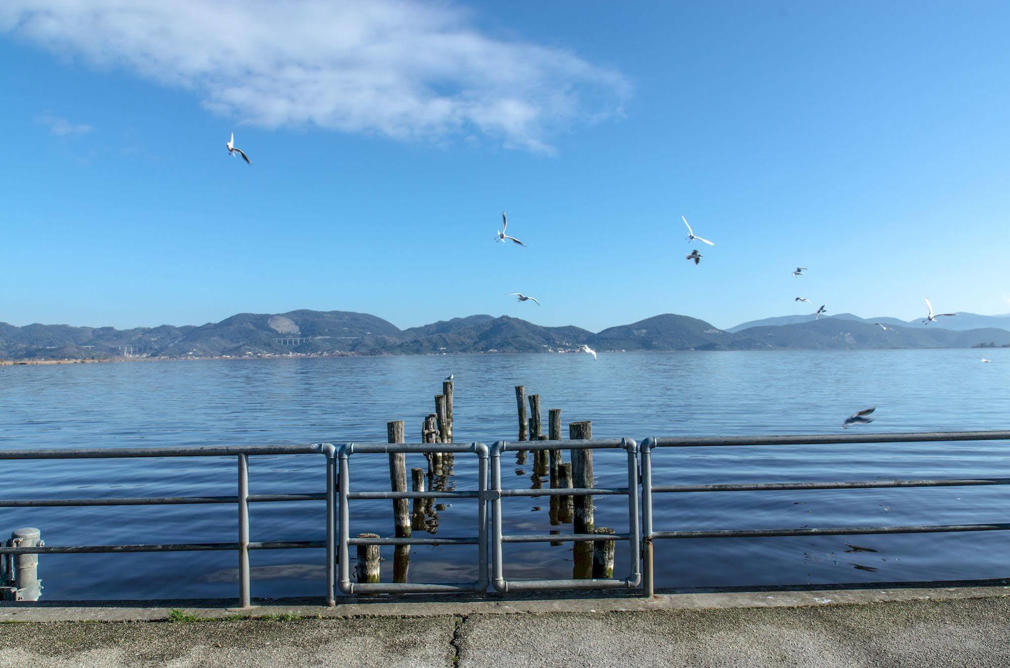 Hotel Butterfly Torre del Lago Puccini Bagian luar foto
